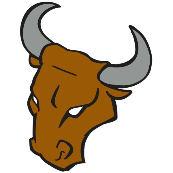 AR BULL 28 RC Thumbnail