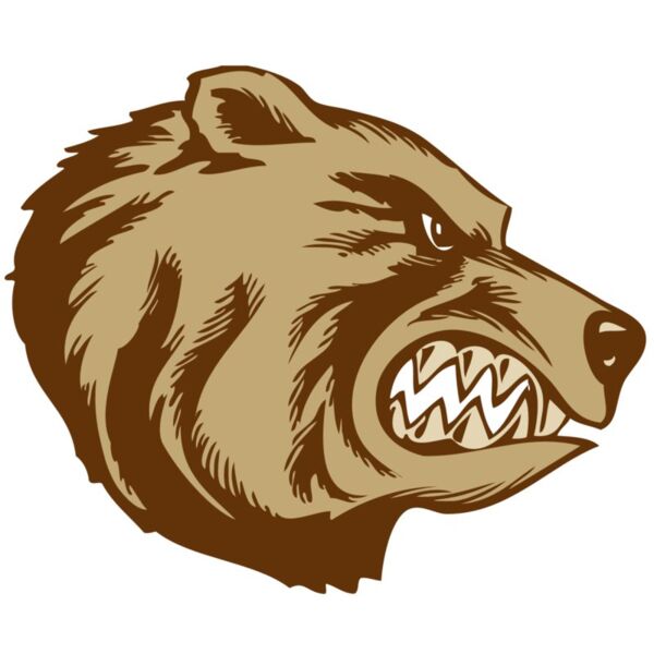 BAW BEAR 16 RC Thumbnail