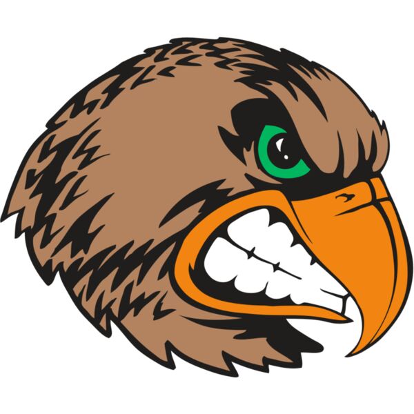 BAW HWK FLCN 09 RC Thumbnail